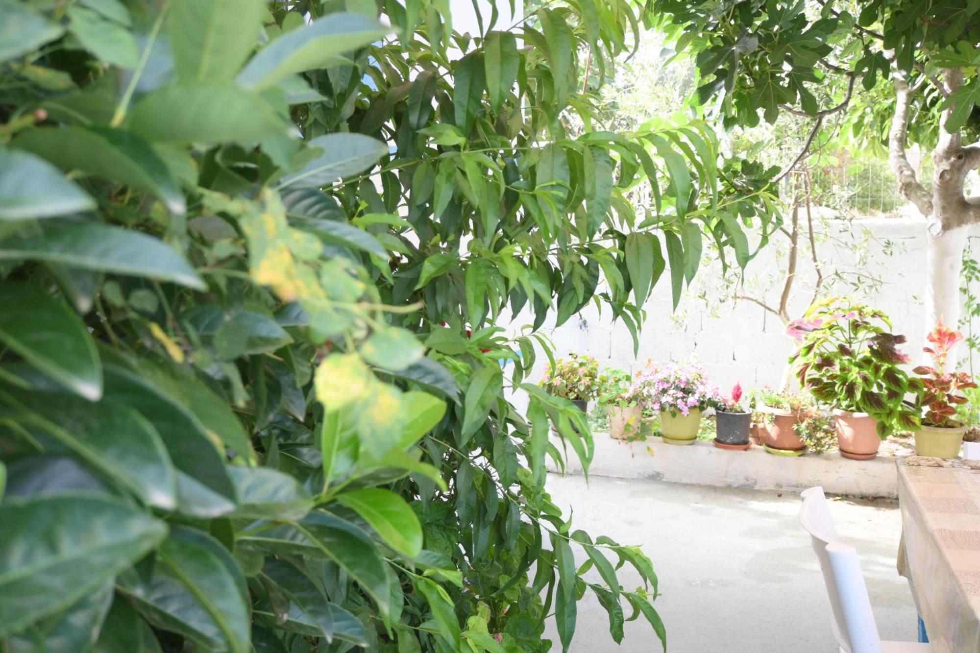 Apartament Luani Ksamil Phòng bức ảnh